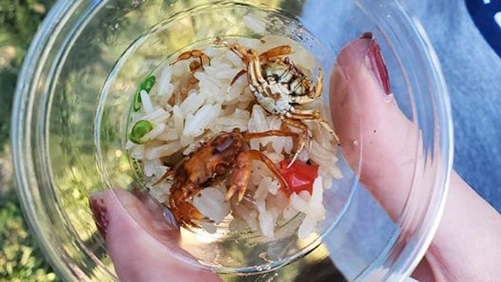 cropped-71498056_427466064571007_5055643177063546880_n