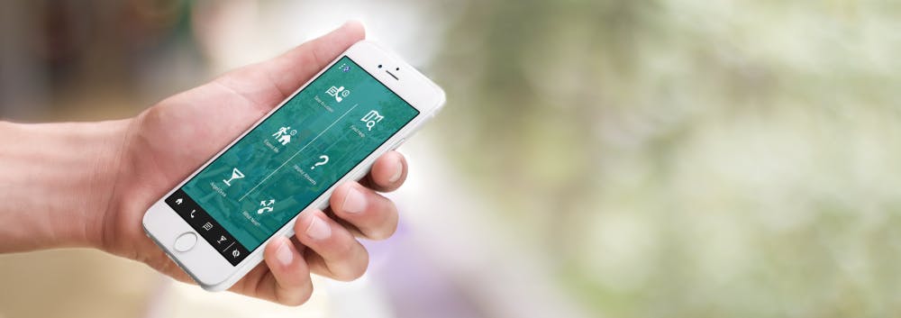 phone-hand-greenery-banner-writingspace