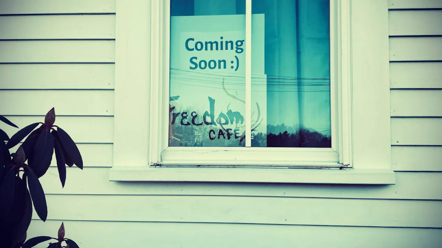 164066820_3716029068482997_48286940183354391_n