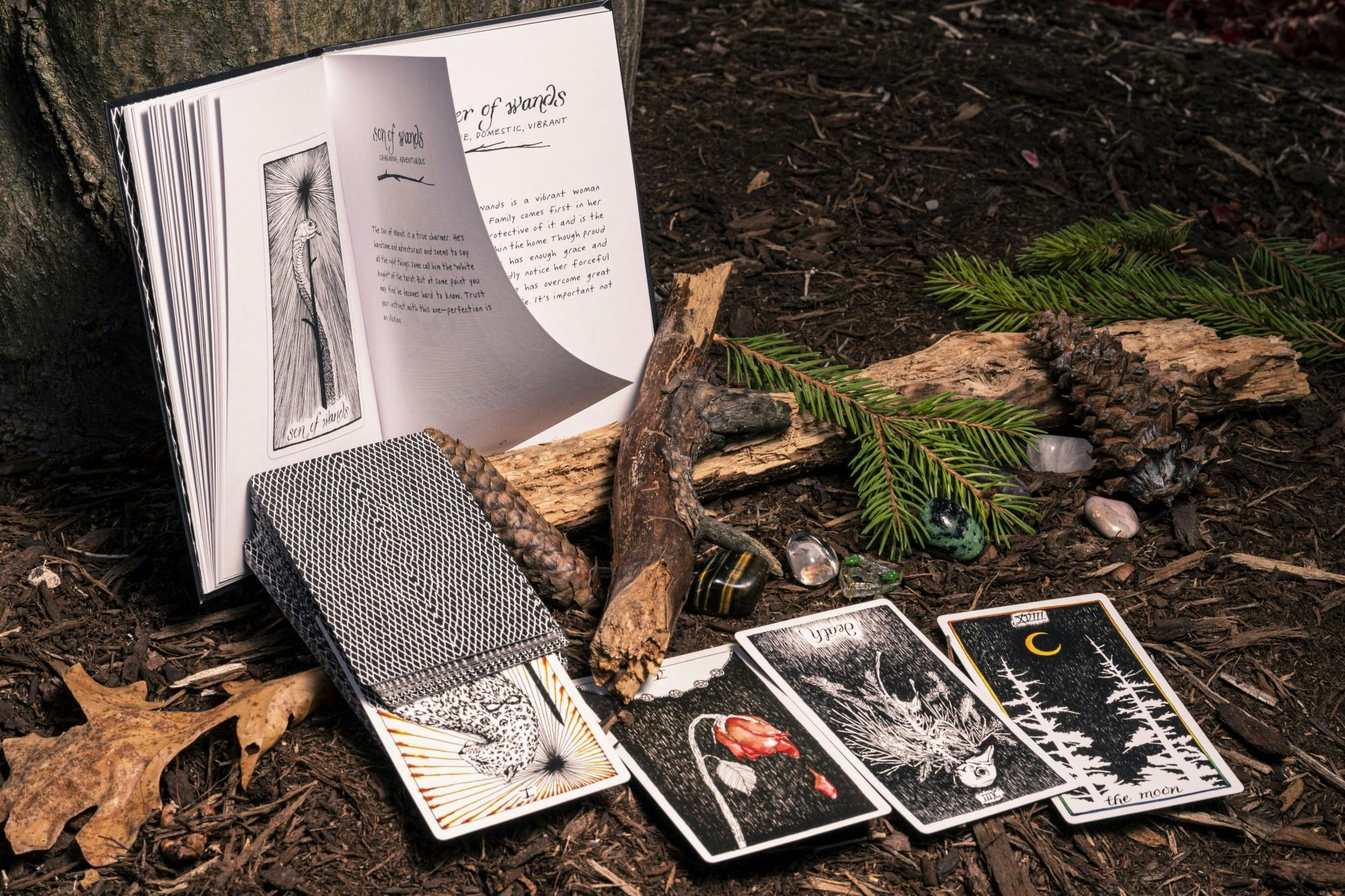 <p>Tarot cards and gemstones photographed with the essence of nature surrounding them. Professor Mark Waddell is bringing back a class called HST 293: Witches, Demons, and the Occult, which will focus on alchemy, astrology and overall history of witchcraft in Europe. </p>