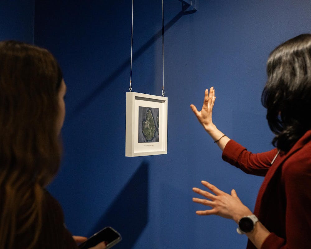 Michigan State University's new museum exhibit, Blurred Realities, is showcased as the museum re-opened in East Lansing, MI on Jan. 14, 2026.