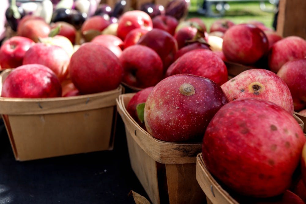 <p>Fresh produce at Autumn Fest at the East Lansing Farmer&#x27;s Market on Oct. 13, 2019</p>