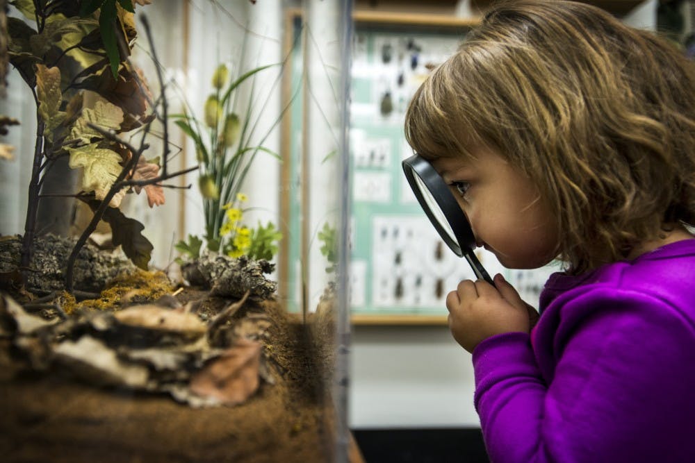 Holt, Mich. resident Skye Woodard, 2, holds a magnifying glass to look at a display case of insects during the open house on Feb. 13, 2017 at the Michigan State University Bug House in the Natural Science Building. Skye Woodard's grandfather, Phillip Woodard, said he wanted to get his granddaughter "acclimated to bugs, so she's not afraid of them, 'cause her mom is slightly afraid."