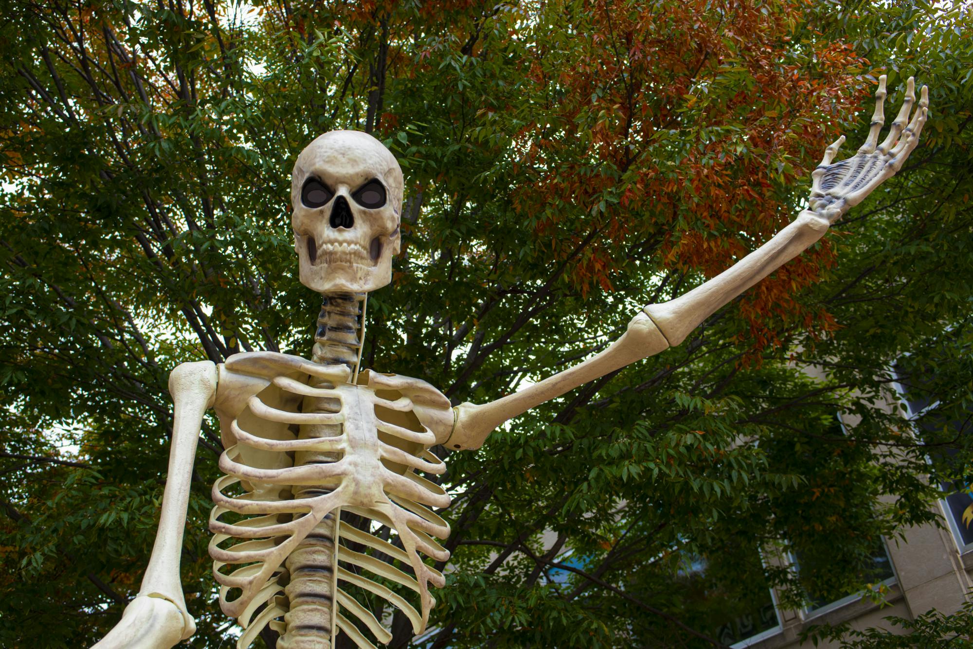 <p>A giant skeleton greets people walking around downtown Kalamazoo to celebrate SkeleTour, an annual event held during the month of October. Shot on Oct. 17, 2020.</p>