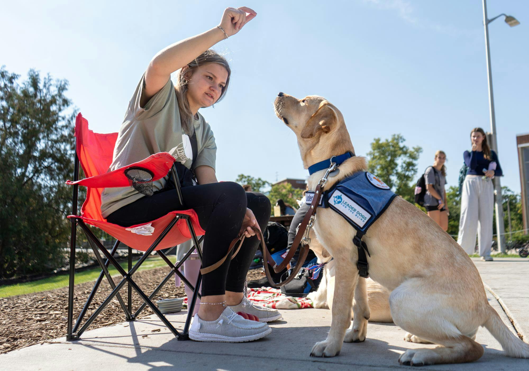 <p>A puppy raiser gets the attention of her future leader dog on Oct. 3 at The Rock on Farm Lane. The MSU Leader Dog Club hosted a “Pay-to-Pet” fundraiser where students could pet future leader dogs for $1</p>