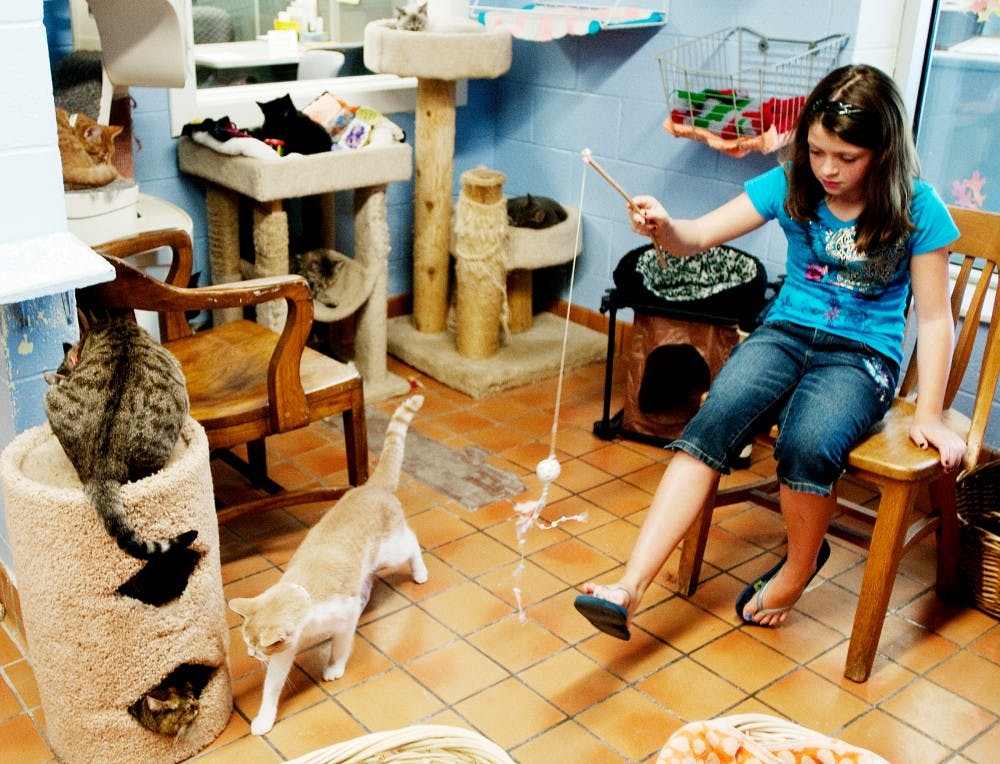Mason resident Thalia Richards, 11, plays with the cats after volunteering on Saturday at the Ingham County Animal Shelter. Richards, who said she wants to go to MSU to become a veterinarian, tries to volunteer as much as she can at the shelter. Josh Radtke/The State News