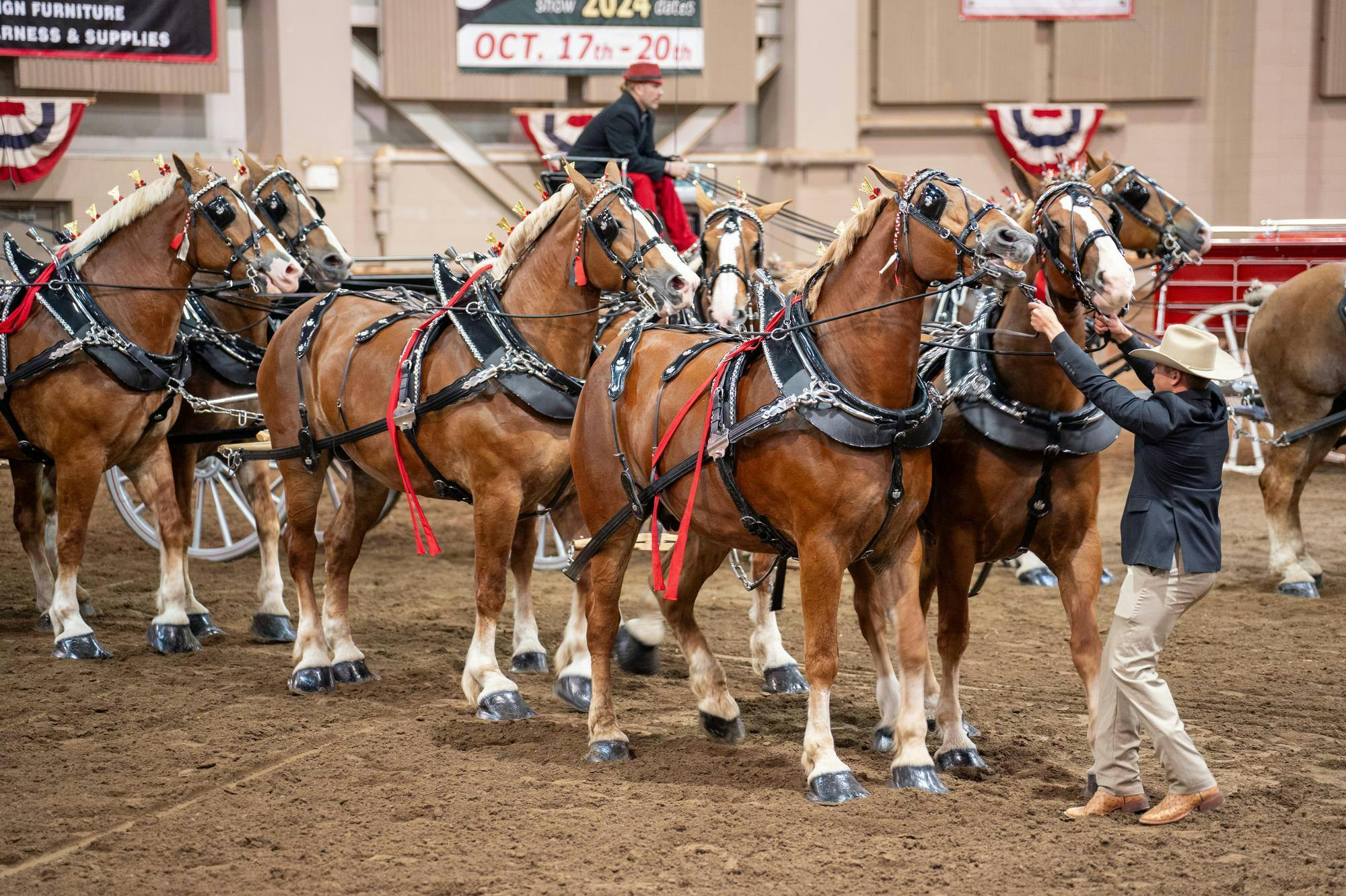 <p>Hold your horses- This team of six draft horses competed in the Classic All Breed Six Horse Hitch competition which was the finale for the show. Michigan Great Lakes International Draft Horse Show and Pull ran from October 12-15 at the Michigan State University Pavilion for Agriculture and Livestock Education. </p>