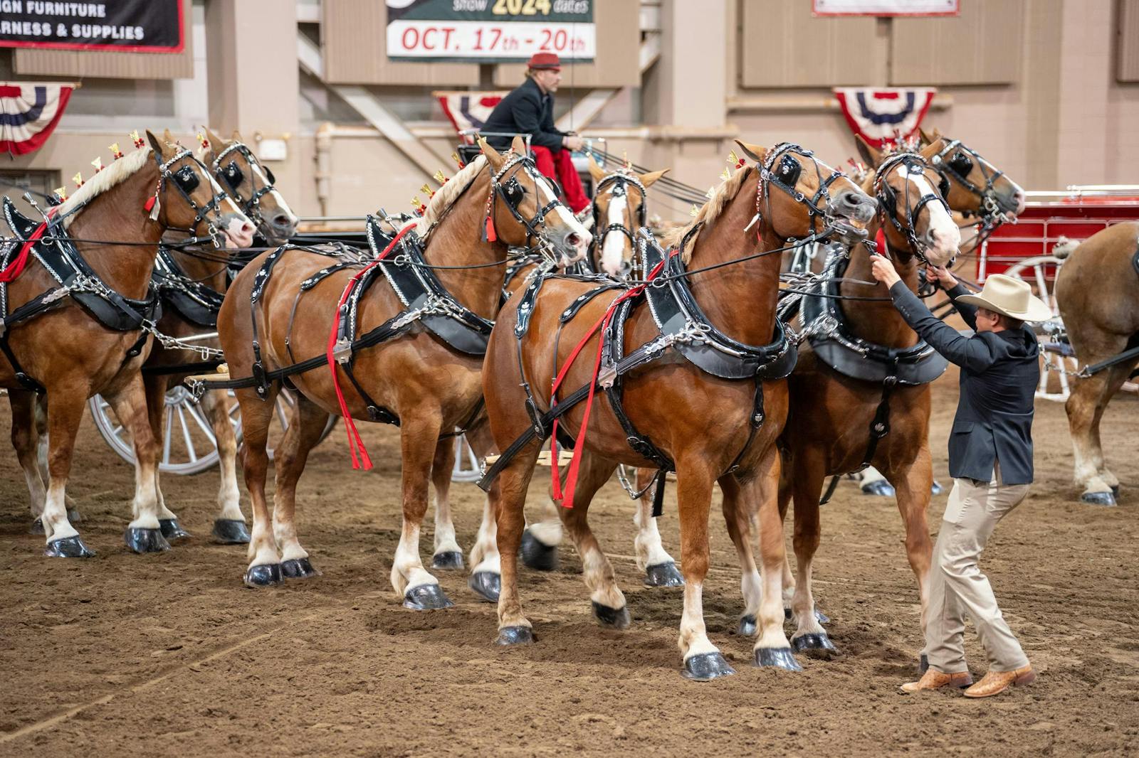 Great Lakes International Draft Horse Show returns to MSU The State News