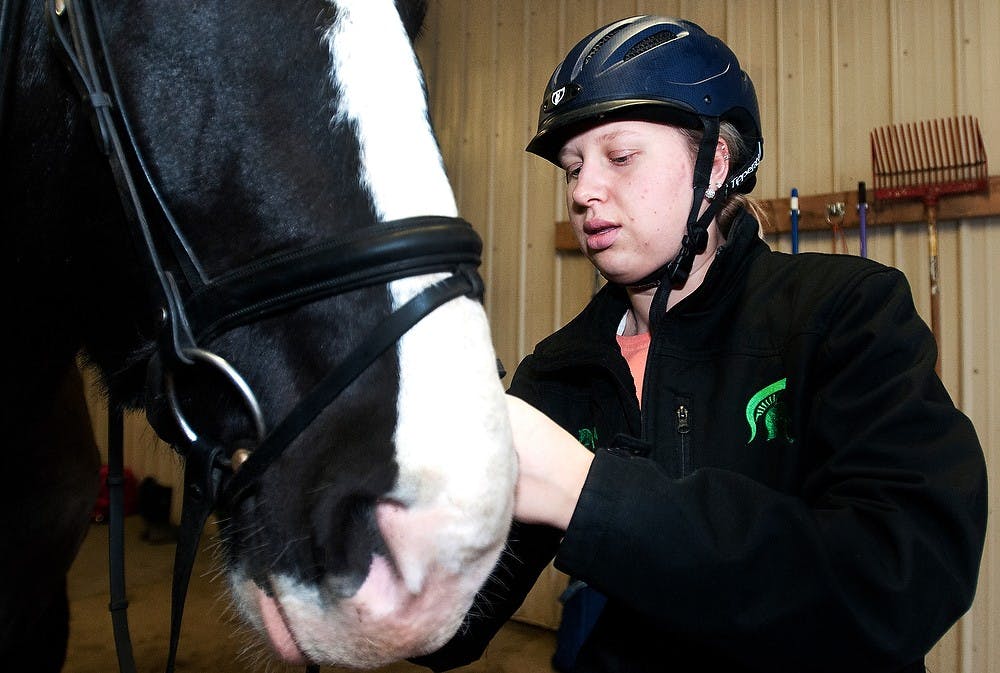 	<p>Animal science sophomore Hannah Brink puts a bridle on Duke on Monday, Dec. 3, 2012, during a practice with other <span class="caps">MSU</span> Dressage Club members at Stapleton Farm in Leslie, Mich. &#8220;He&#8217;s like a funny jock football player,&#8221; Brink said about Duke. Julia Nagy/The State News</p>