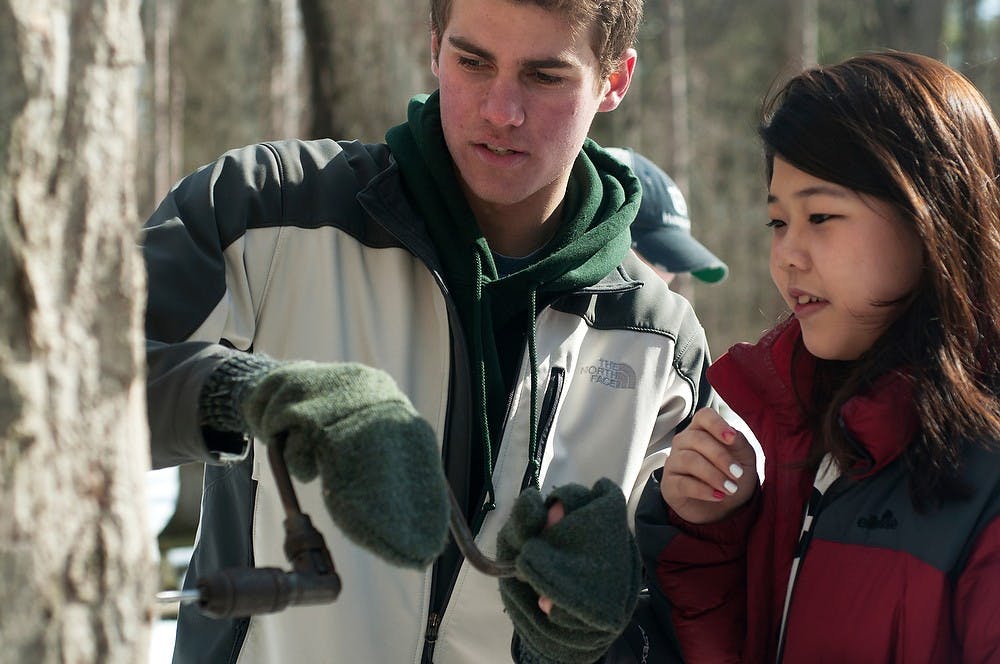<p>Social work junior Ben Spreitzer shows Lansing resident Jumim Jung how to tap a tree during the Maple Syrup Festival on March 15, 2014, at Fenner Nature Center, 2020 E. Mount Hope Avenue, in Lansing. The festival demonstrated the process for creating maple syrup from sap. Danyelle Morrow/The State News</p>