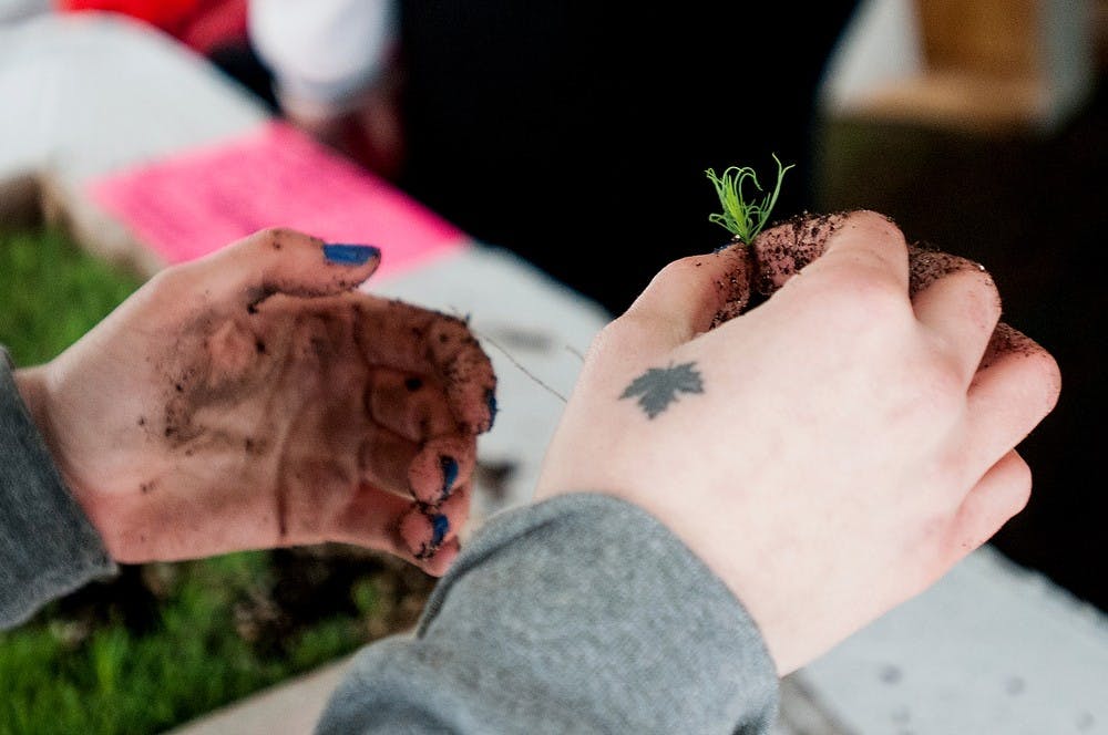 	<p>Graduate student Emma Berckmans holds the roots of what eventually will be a spruce tree at the <span class="caps">MSU</span> Science Festival on Saturday, April 13, 2013, under the Lansing State Journal Expo Tent in the lawn area between Agriculture Hall and North Kedzie Hall. The festival runs until April 21. Katie Stiefel/The State News</p>