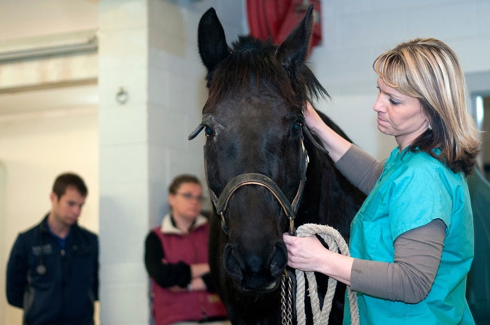 <p>Licensed veterinary technician Kelli Geisen comforts a horse during its examination March 26, 2014, at the Veterinary Medical Center. They were trotting him up and down the hall for a lameness exam, which checks the physical health of the horse. Betsy Agosta/The State News </p>