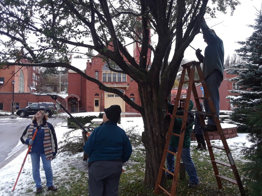 <p>Volunteers prune a tree at Memorial Park in Hancock, Mich. Their efforts were a part of a workshop that was run through Houghton County's MSU Extension, whose offices are 500 miles from East Lansing. Photo courtesy of Mike Schira.</p>