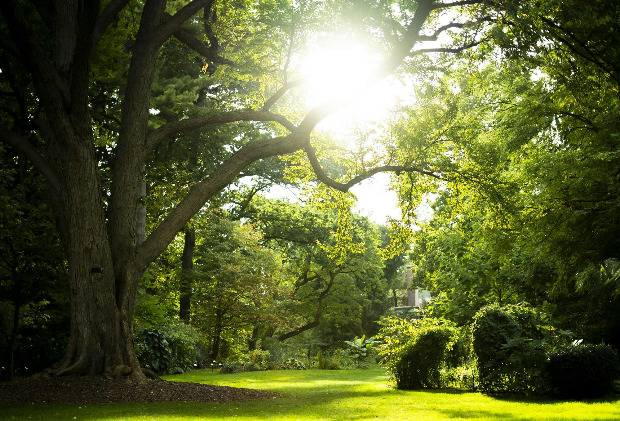 <p>Beal Botanical Garden in East Lansing, Michigan on Oct. 1, 2025.</p>
