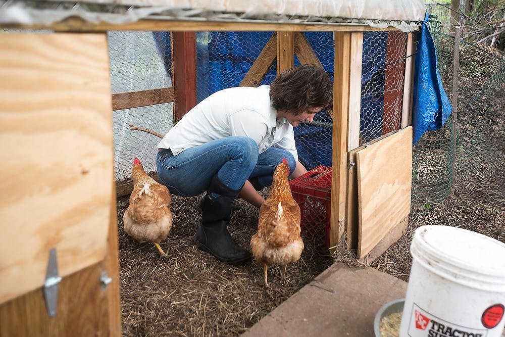 <p>East Lansing resident and MSU alumna Jackie Cosner retrieves eggs from her chicken coop May 17, 2014, in the backyard of her home. In addition to the four chickens, the family also grows potatoes, hops and various herbs. Danyelle Morrow/The State News</p>