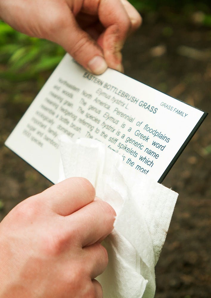 	<p>Residential College in the Arts and Humanities senior Andrew Smith cleans a sign June 10, 2013, at the Beal Botanical Garden. The garden is the oldest continually operated botanical garden of its kind in the United States. Weston Brooks/The State News</p>