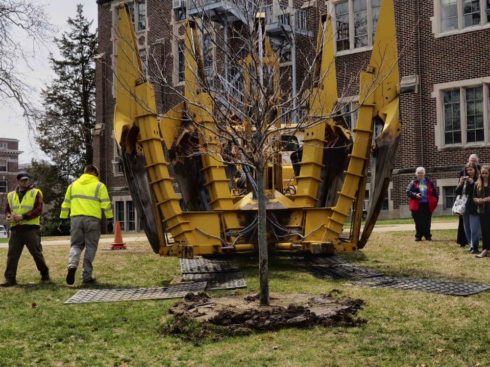  The "Survivor Tree" planted at the Survivor Tree Dedication Ceremony east of the MSU Museum building on April 16, 2019. The tree planting ceremony is to honor survivors and family's members effected by sexual violence.  