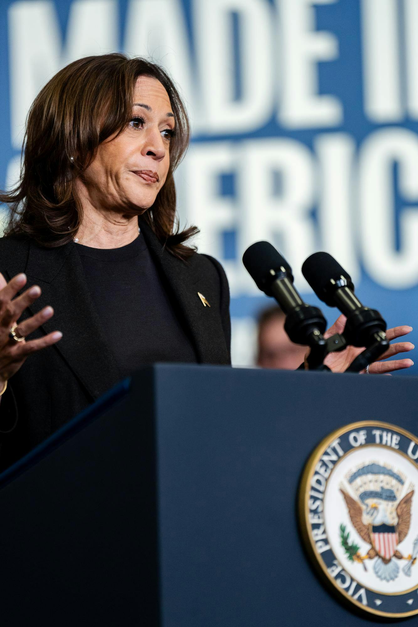 Kamala Harris Speaks to local UAW Members in Lansing on Oct. 18, 2024