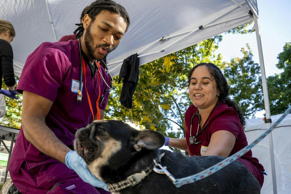 <p>Michigan State University second-year veterinary medicine students Jesse, left, and Genesis administer a vaccine to a dog during a free veterinary clinic hosted by the Michigan Community Street Clinic at Reutter Park in Lansing, Mich., on Sunday, Sept. 27, 2026. The clinic provided free veterinary care and related services to pets of people experiencing or at risk of homelessness.</p>