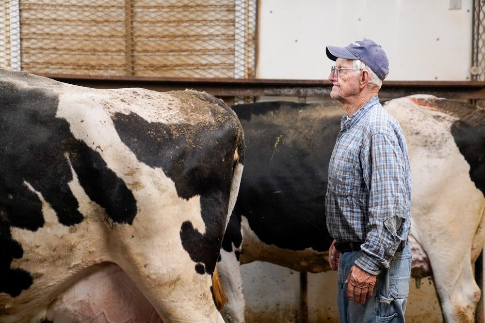 <p>Duane Reum, 88, of Lansing, waits patiently for his turn to move cows through the milking station at the Dairy Cattle and Research Center in Lansing on Sept. 18, 2023.</p>
