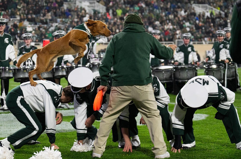 Zeke the Wonderdog jumps over the Michigan State drumline between plays at Spartan Stadium on Nov. 22, 2024.