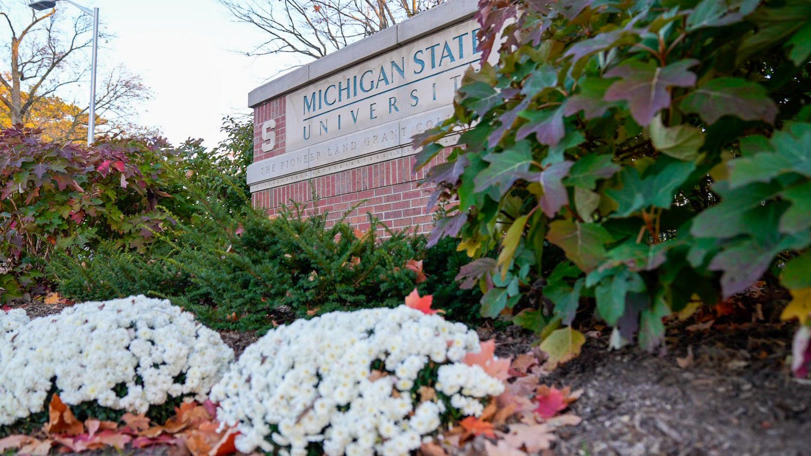 In a first, MSU board holds public livestream of board committee meeting