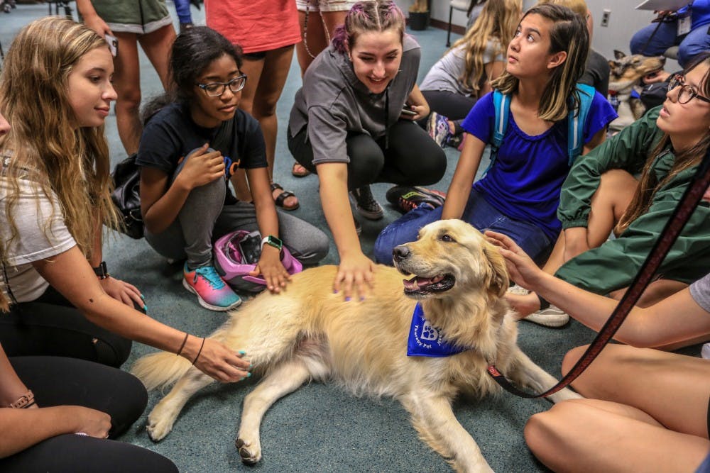Students pet a service dog at Fallapalooza on Sept. 21, 2018.