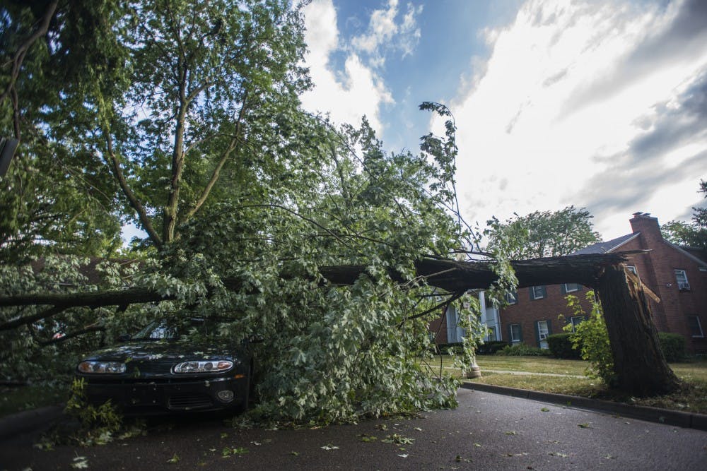 A car damaged by a tree pictured on July 8, 2016 on Division St.