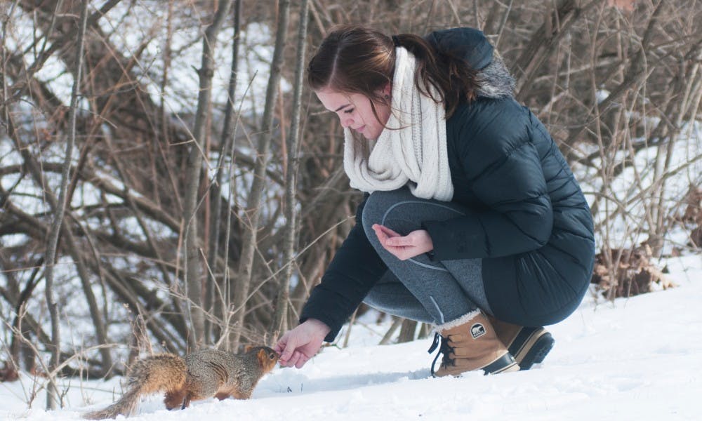 Interdisciplinary studies in social science sophomore Megan Feeley feeds a squirrel on Feb. 18, 2016.  Feeley likes to interact with squirrels on her way to class. 