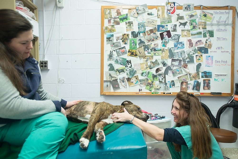 	<p>Critical Care resident Jayme Hoffberg, left, and veterinary technician Rose Wahl comfort Daley as he donates blood Jan. 21, 2014, at the Small Animal Clinic. Wahl keeps photos of current and past donors on her whiteboard and she loves getting to know the donors with each visit. Julia Nagy/The State News </p>