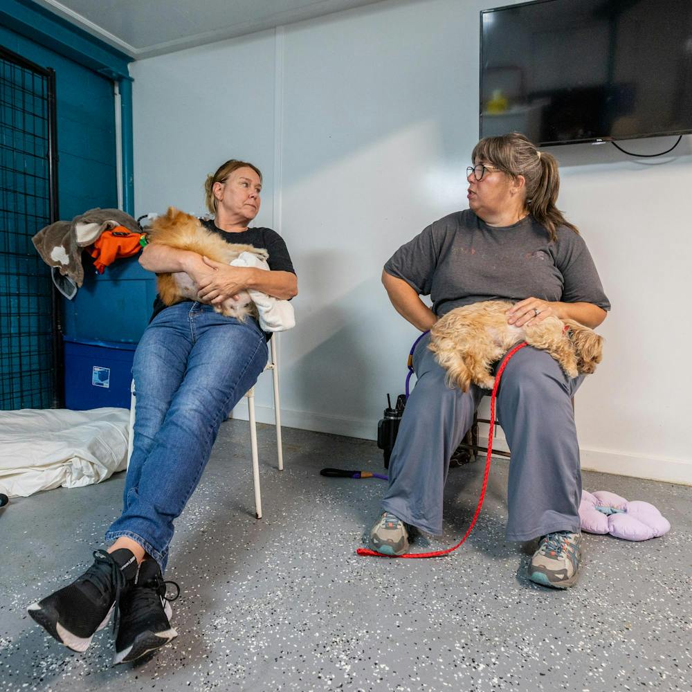 <p>I Heart Dogs volunteers Mary Huston (left) and Nicole Kempski (right) help care for dogs after their operations by the MSU Veterinary Mobile Unit in Warren, Mich., on July 16, 2026.</p>