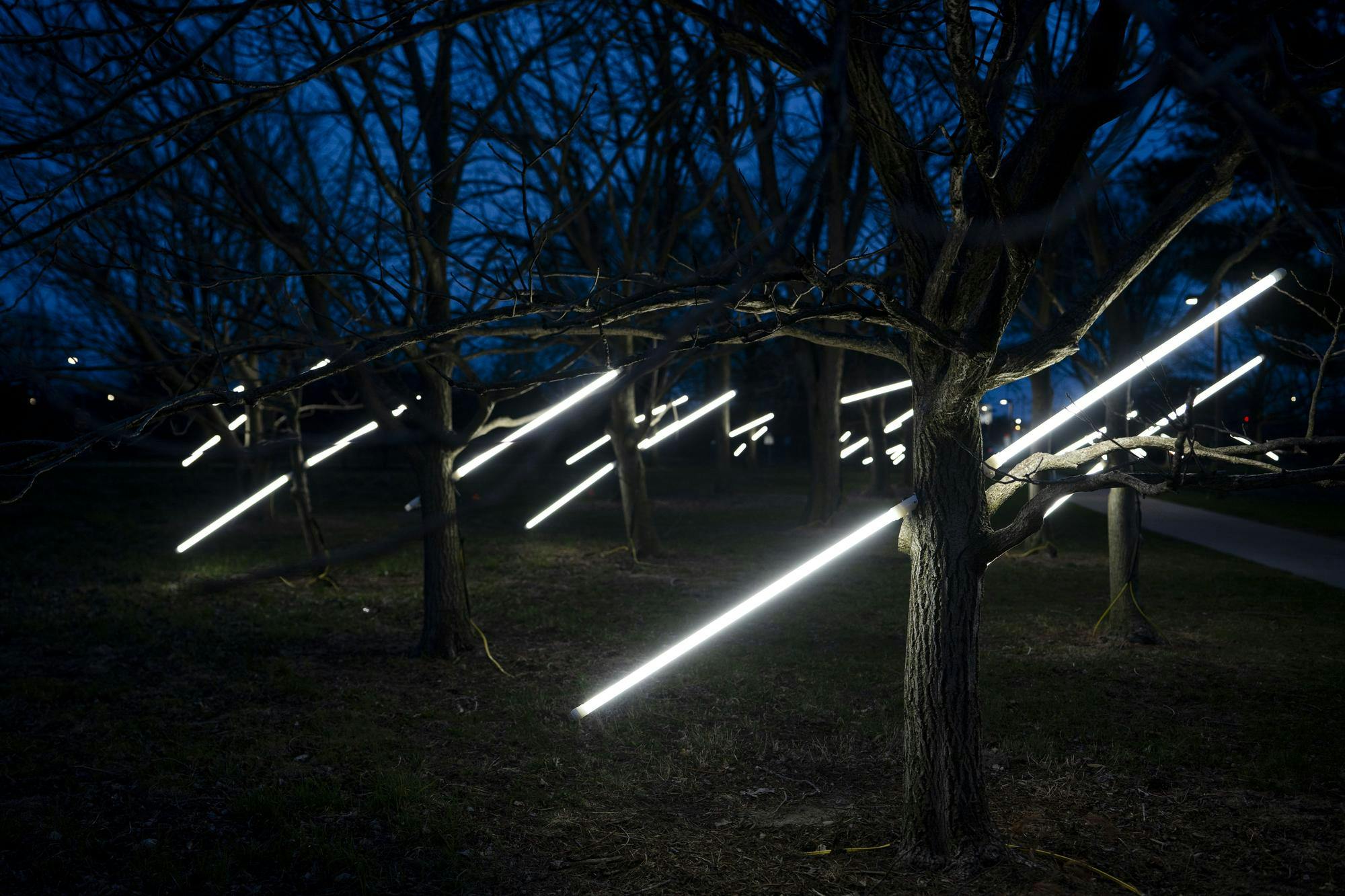 20250418-haileybecker-rjl-03