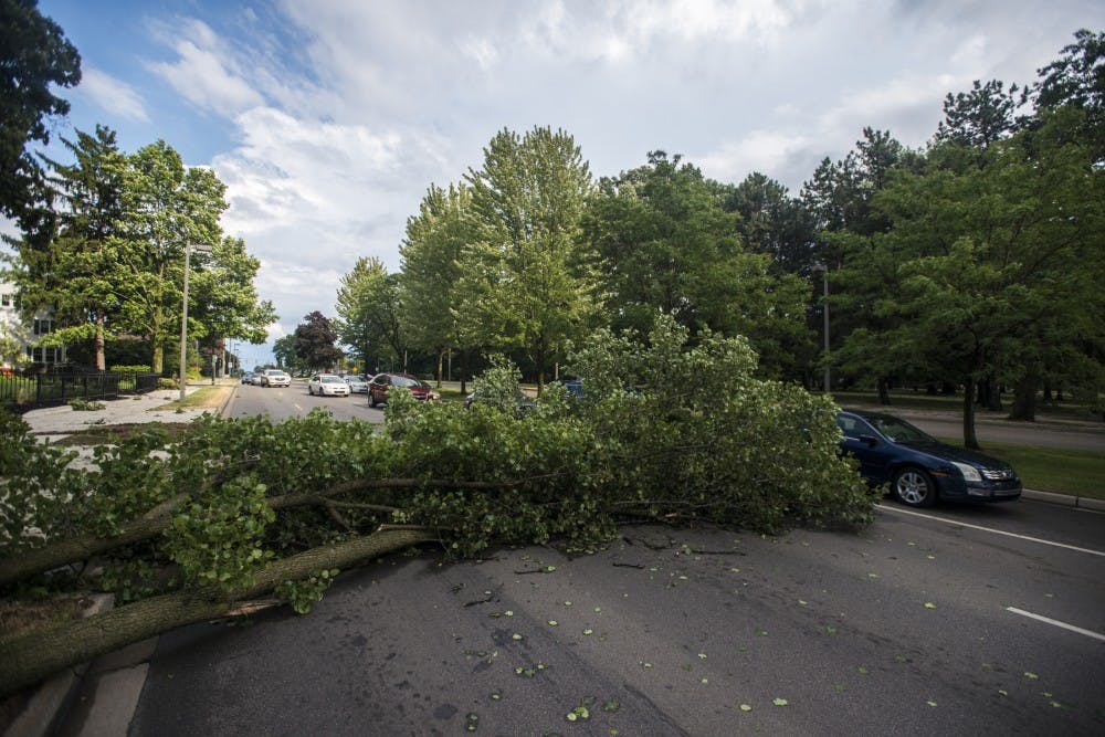 Cars drive around a fallen tree on July 8, 2016 on E. Grand River Ave. 