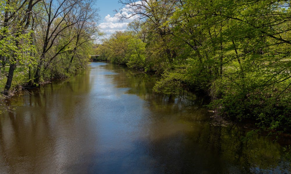 <p>The Red Cedar River photographed on May 15, 2019.</p>