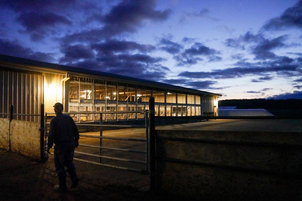 <p>Duane moves between barns during sunrise at the Dairy Cattle and Research Center in Lansing on Sept. 18, 2023.</p>