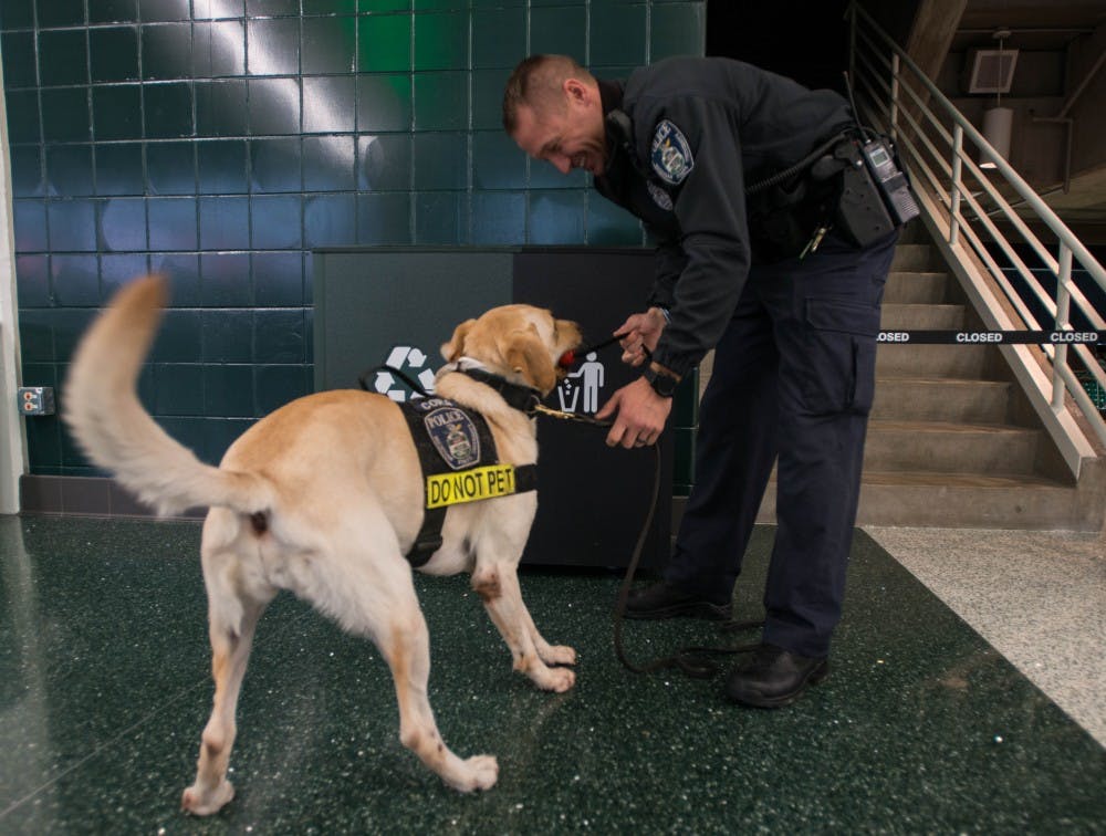 MSUPD Officer Adam Atkinson rewards Labrador Cora, 4, after successfully locating the training aid at the Breslin Center on Nov. 1, 2018.
