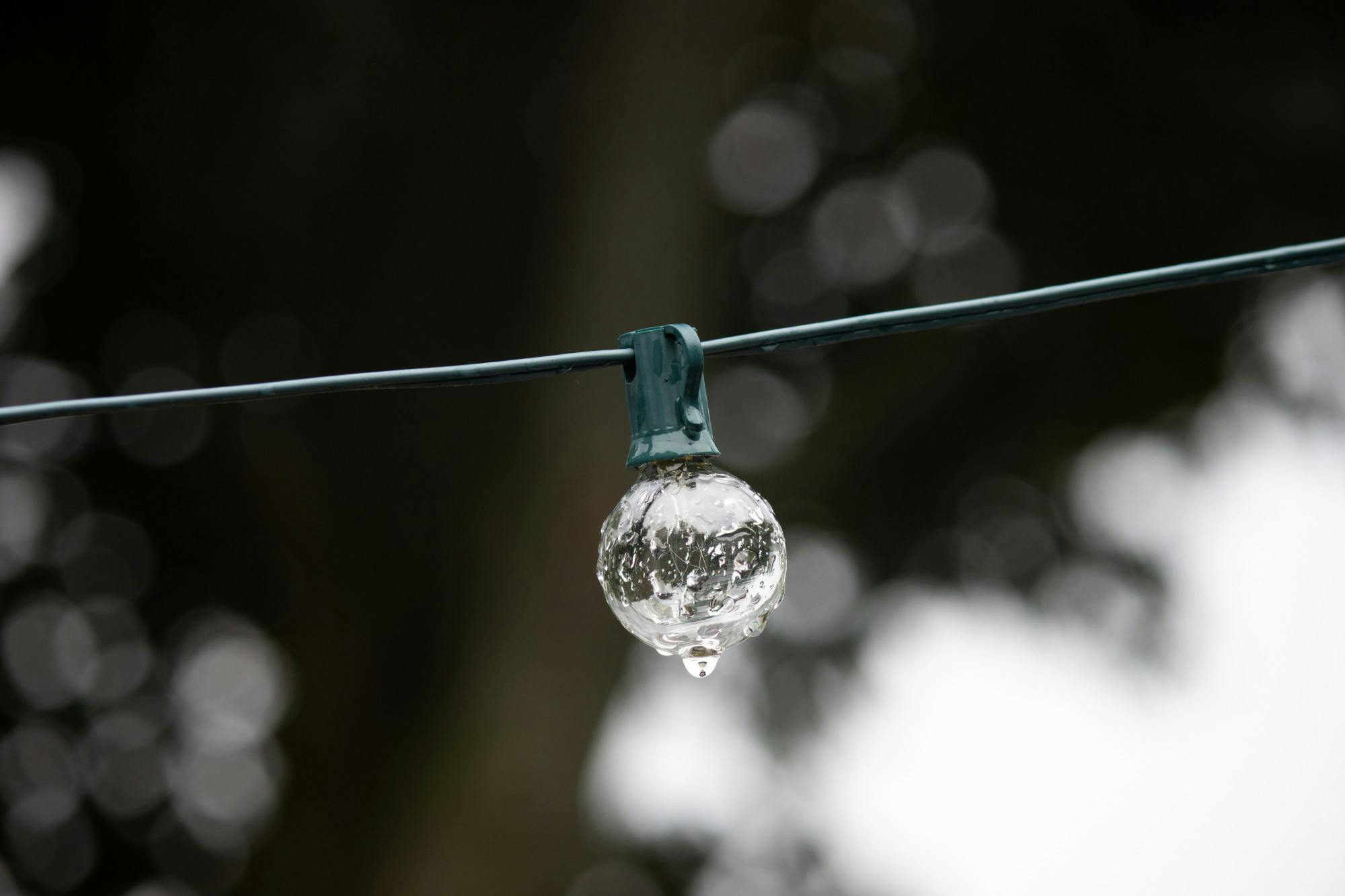 <p>Rain drips from a lighbulb after a storm.</p>