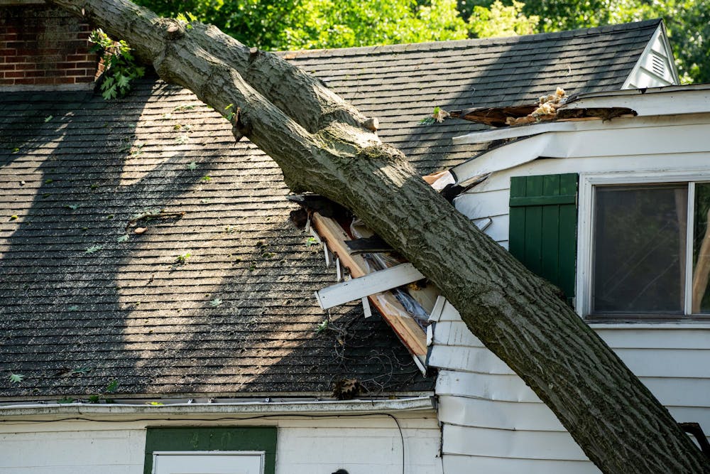 <p>J &amp; J Hardwoods Inc. works to remove a tree that damaged a house on Friday July 12th at 410 Division St. in East Lansing. The Mid-Michigan area deals with the aftermath of Hurricane Beryl which felled trees and flooded communities.</p>