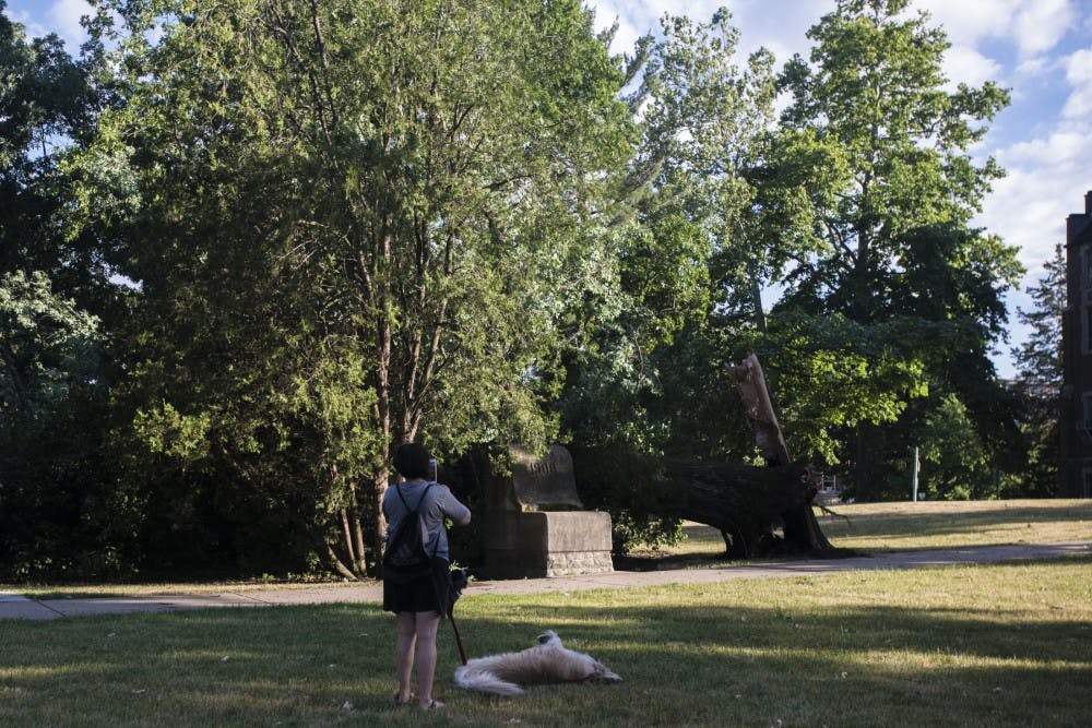 East Lansing resident Sallie Kribbet takes a photo of a fallen tree on July 8, 2016 near the Beaumont Tower. Kribbet was out walking her dogs around campus looking at the damage from the storm. 