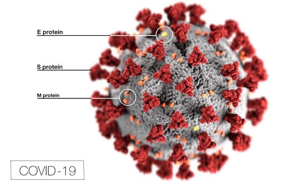 This illustration, created at the Centers for Disease Control and Prevention (CDC), reveals ultrastructural morphology exhibited by coronaviruses. Courtesy of CDC/Alissa Eckert, MS; Dan Higgins, MAMS