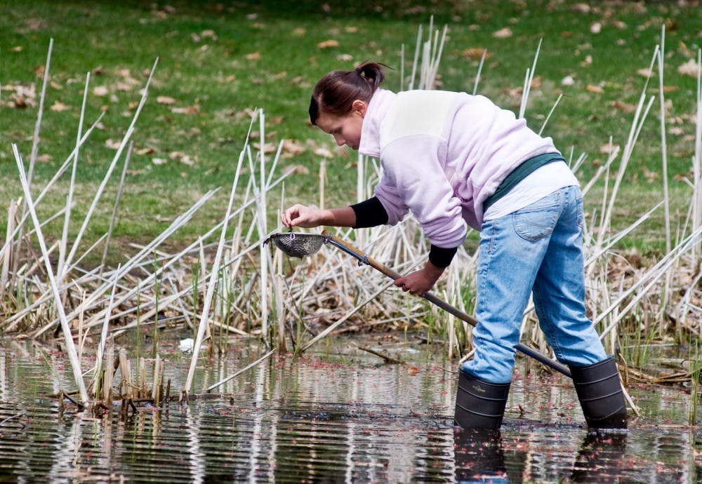 Zoology and fisheries and wildlife junior Katelyn Wagner picks through debris pulled from pond Sunday at the Fenner Nature Center, 2020 Mount Hope Road in Lansing. Wagner and other students in the Fisheries and Wildlife Club led nature walks and other activities at the nature center in commemoration of Earth Day. Matt Radick/The State News