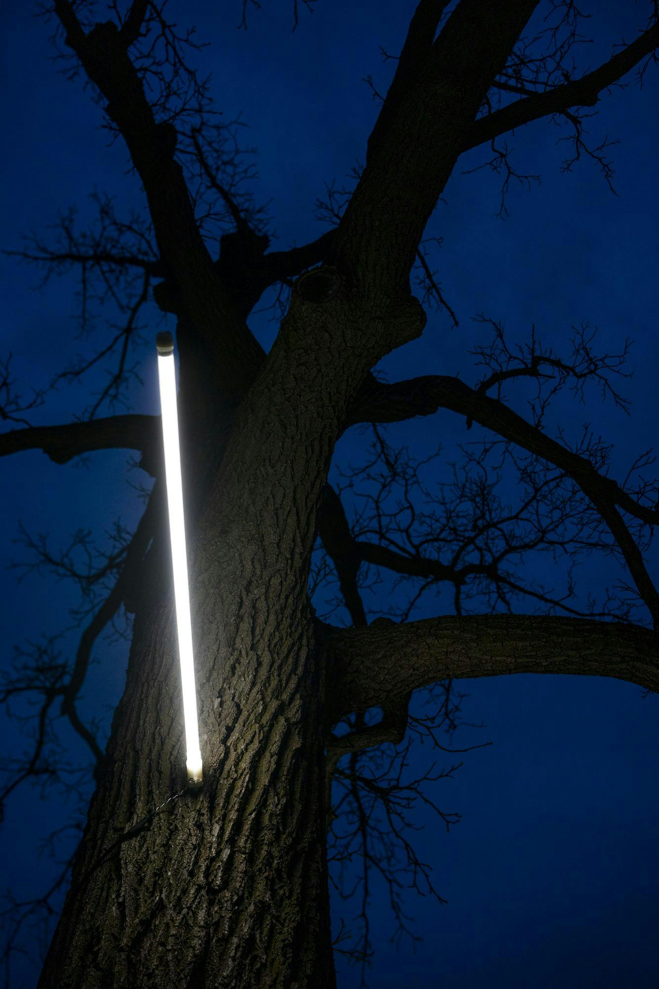 20250418-haileybecker-rjl-06