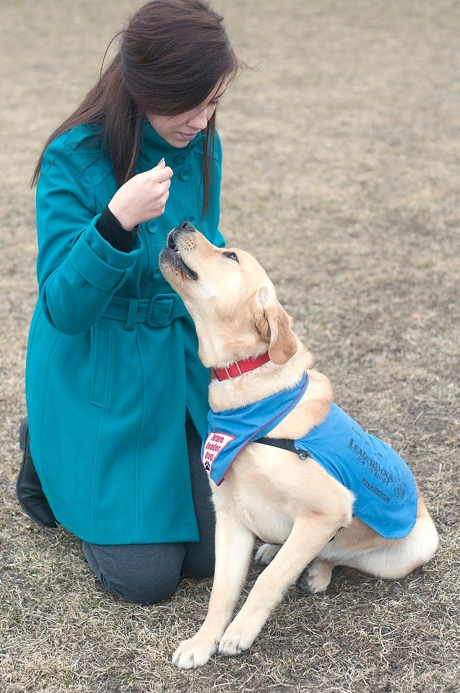 <p>Psychology junior Michaela Marks holds a treat for Tobias, the puppy she is training to be a Leader Dog for the Blind, March 23, 2015, at Munn Intramural Field. Marks said Tobias goes through her daily activities with her as part of his training. Kelsey Feldpausch/ The State News</p>