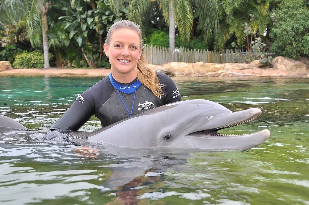 <p>Photo Courtesy of Sea World Orlando</p>