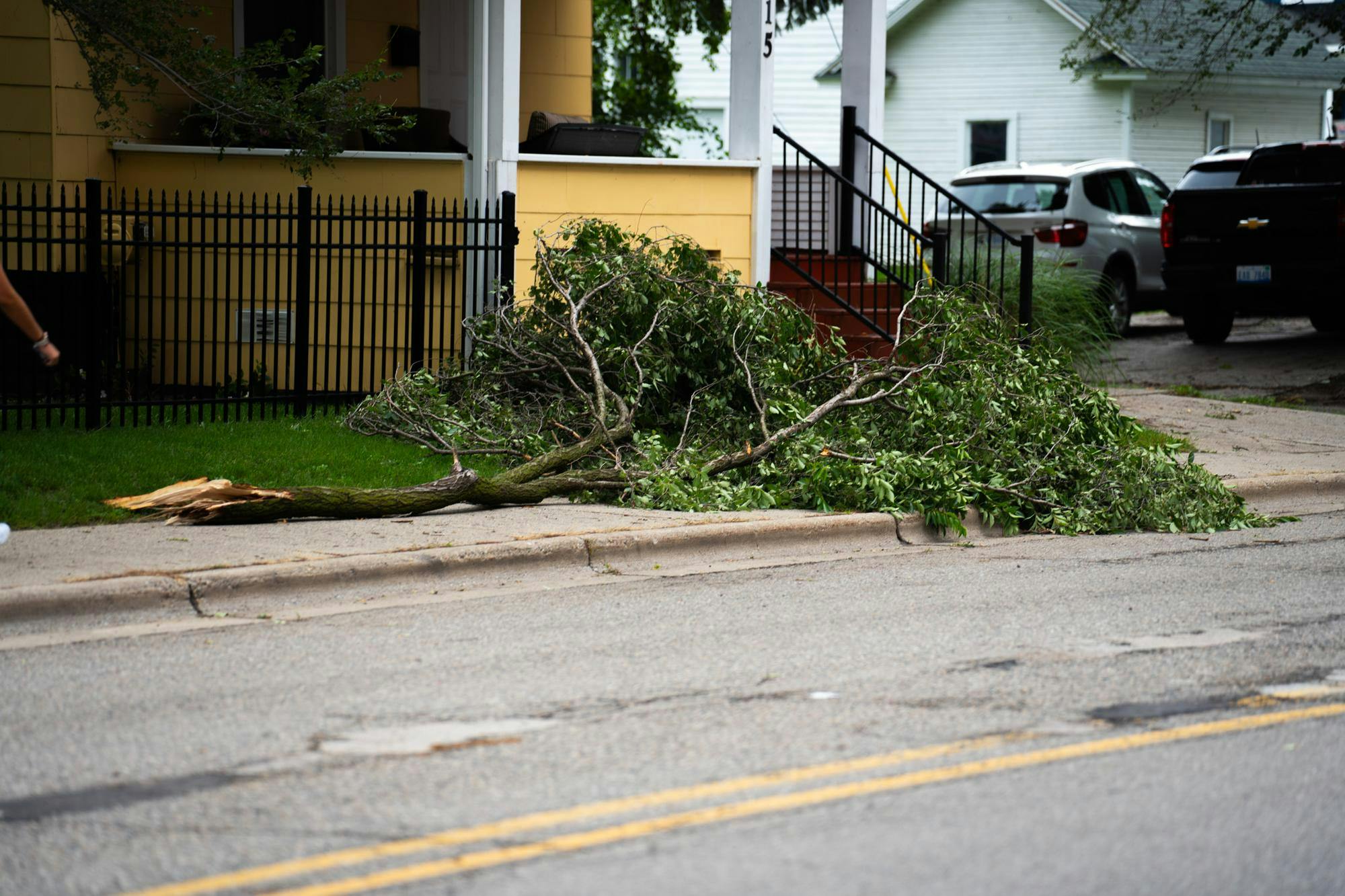 Debris scattered and trees downed in the aftermath of a thunderstorm in East Lansing photographed on Aug. 25, 2023. 