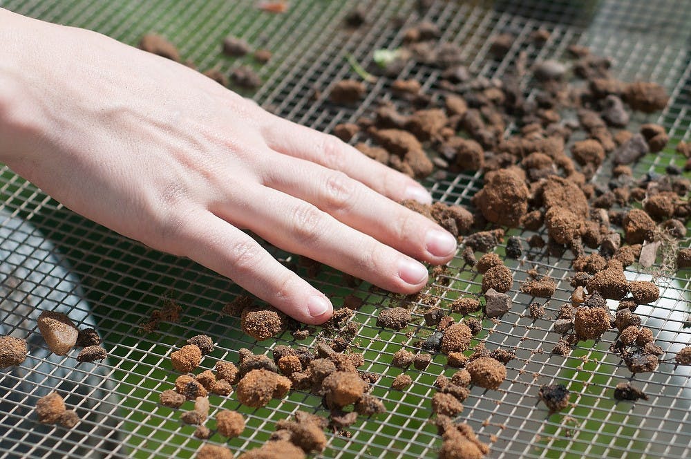 	<p>Graduate student Katy Meyers sifts through dirt on May 15, 2013, outside the <span class="caps">MSU</span> Museum during an archeology dig. Construction sites are tested first to see if there could be any historical material in the area. Julia Nagy/The State News</p>