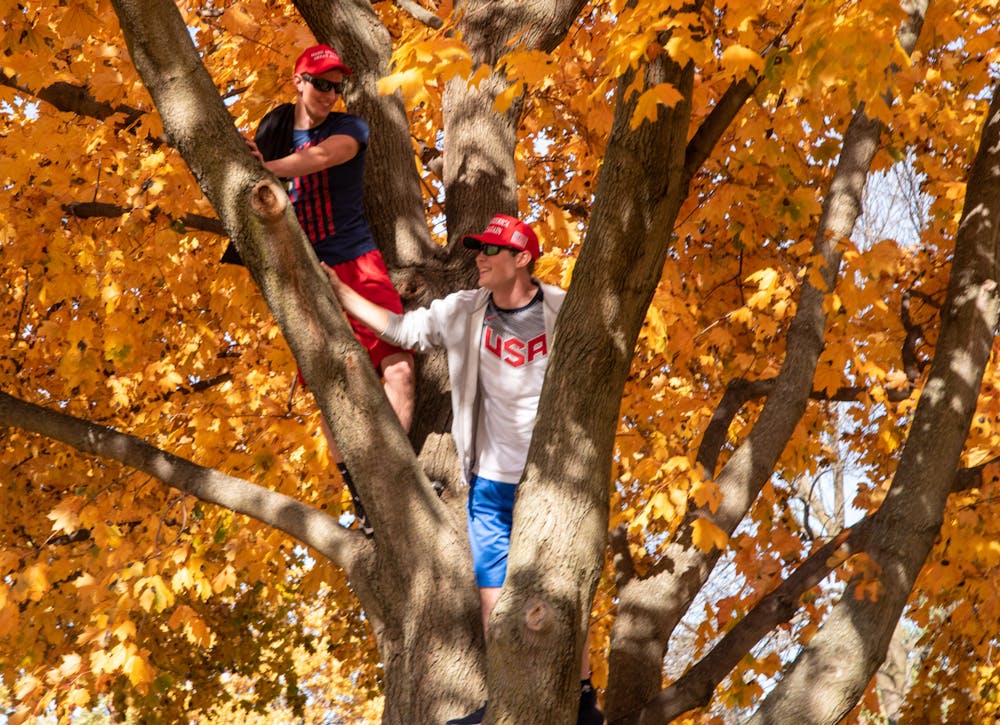 Supports of President Donald Trump in a tree on the lawn of the Michigan State Capital at the Stop The Steel Rally on Saturday, November 7, 2020. 