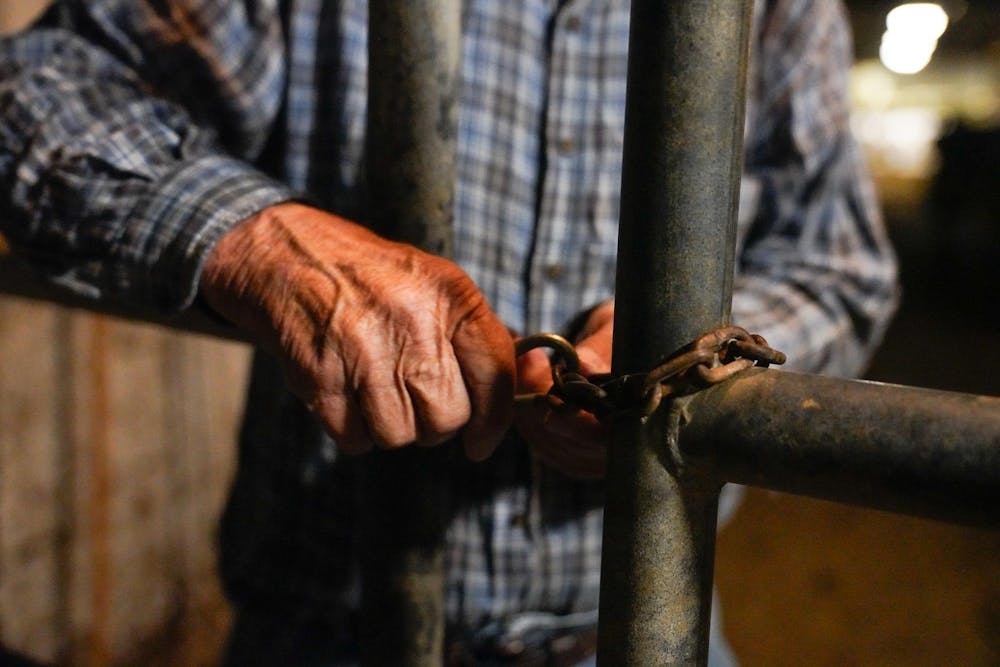 Duane Reum, 88, of Lansing, unlocks a gate for cattle to move through the barns to get to the milking stations at the Dairy Cattle and Research Center in Lansing on Sept. 18, 2023. 