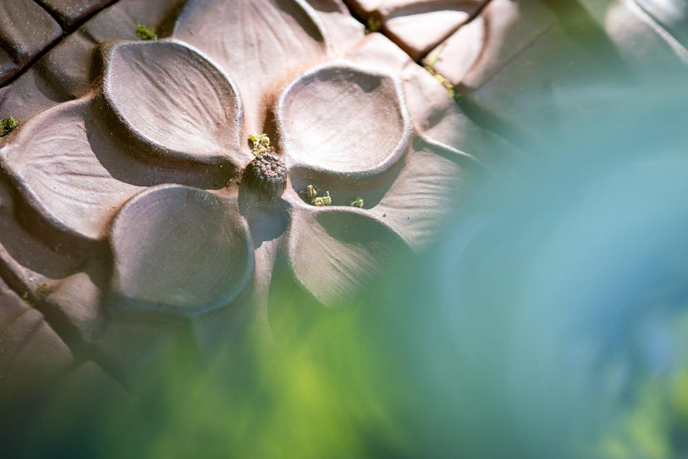 The art piece "Magnolia Transplanted" by MSU BFA student Ellie Stanislav on display at the Beal Botanical Garden on May 22, 2024.