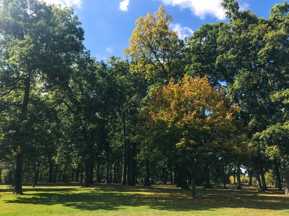 <p>Lake Lansing Park South.&nbsp;</p>